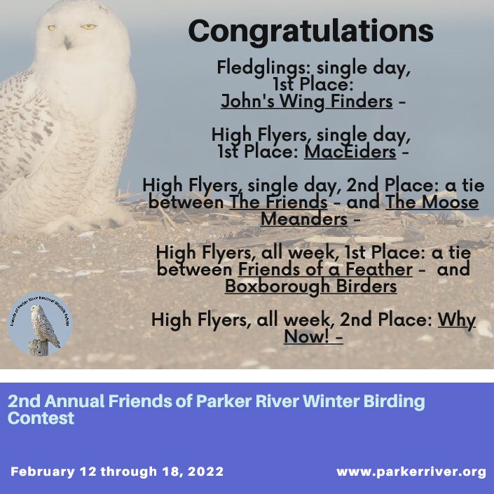 Winter Bird Survey Winners-4