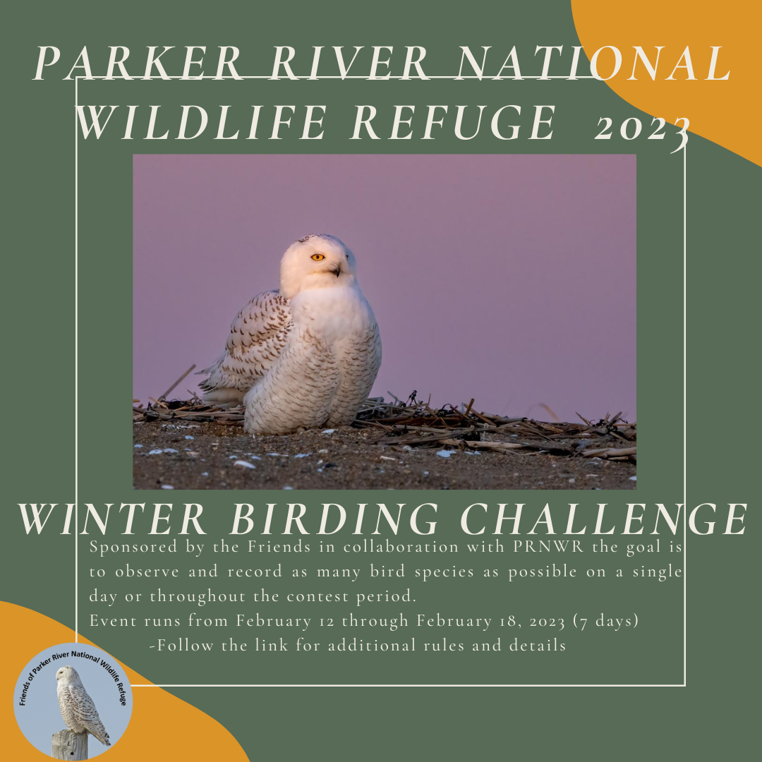 2023 Winter Birding Challege