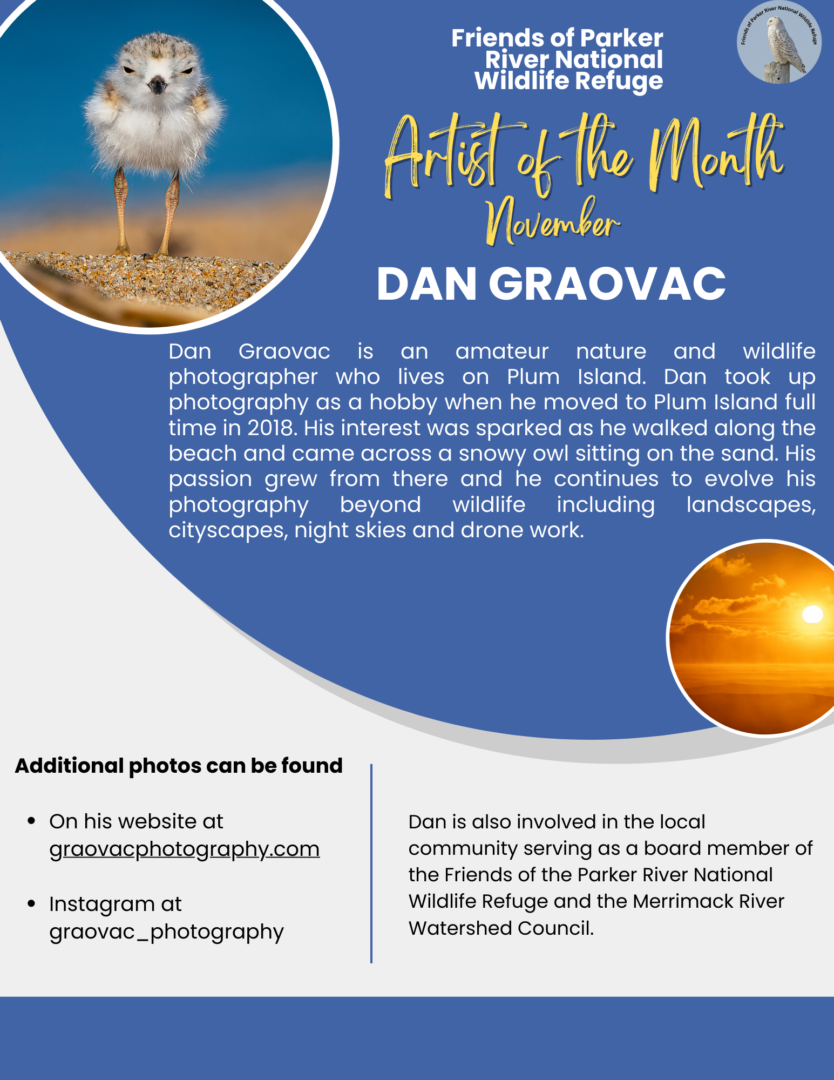 November Artist of the Month Dan Graovac(1)