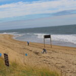 1000062024 Fall Beach Cleanup_FPRNWR