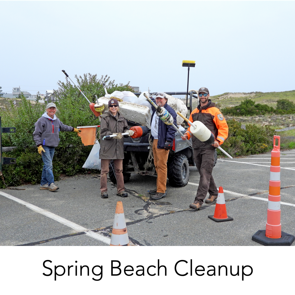 Spring Beach Cleanup